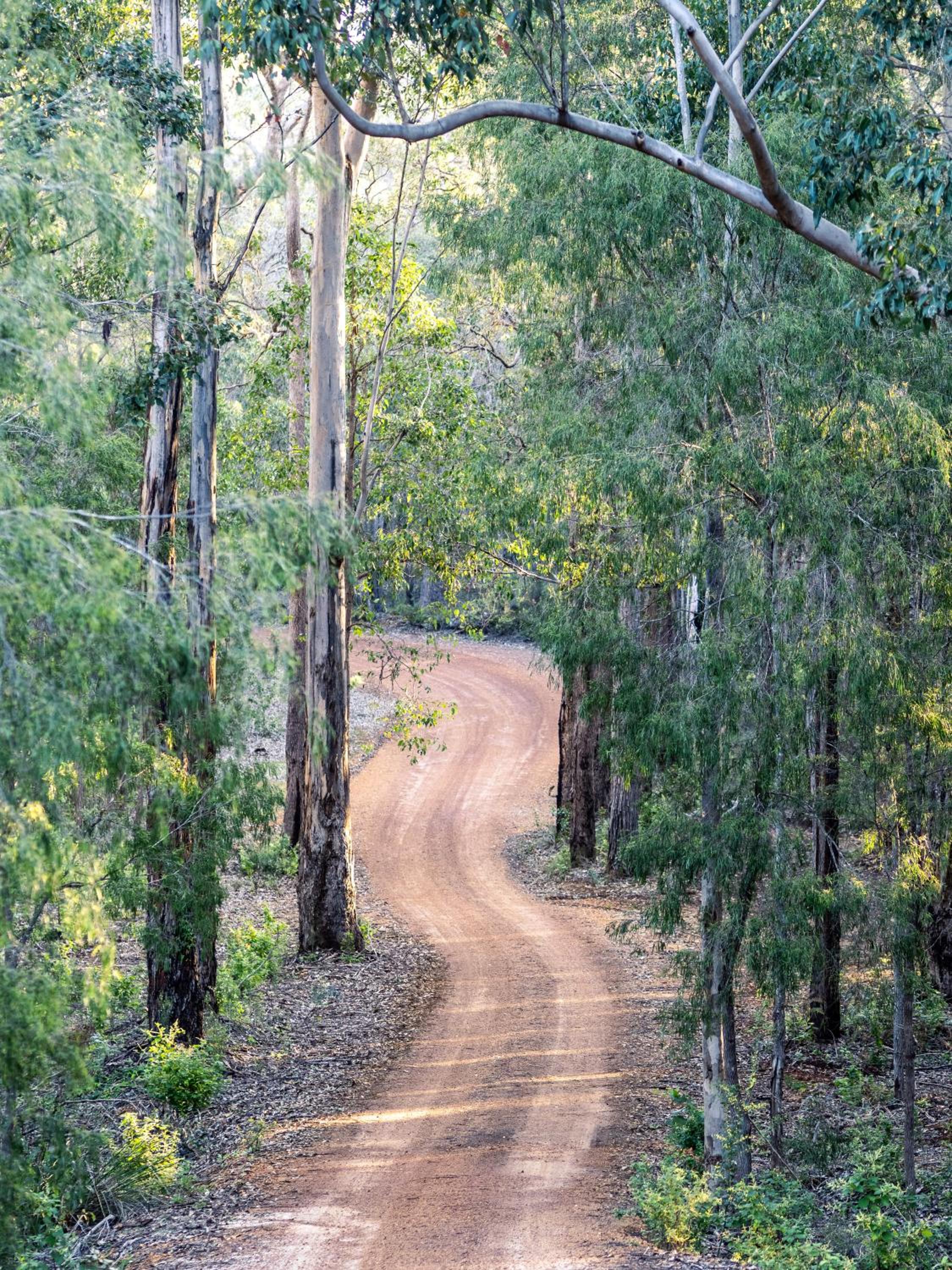 Jarrah Grove Forest Retreat - Adults Only Luxury Chalet