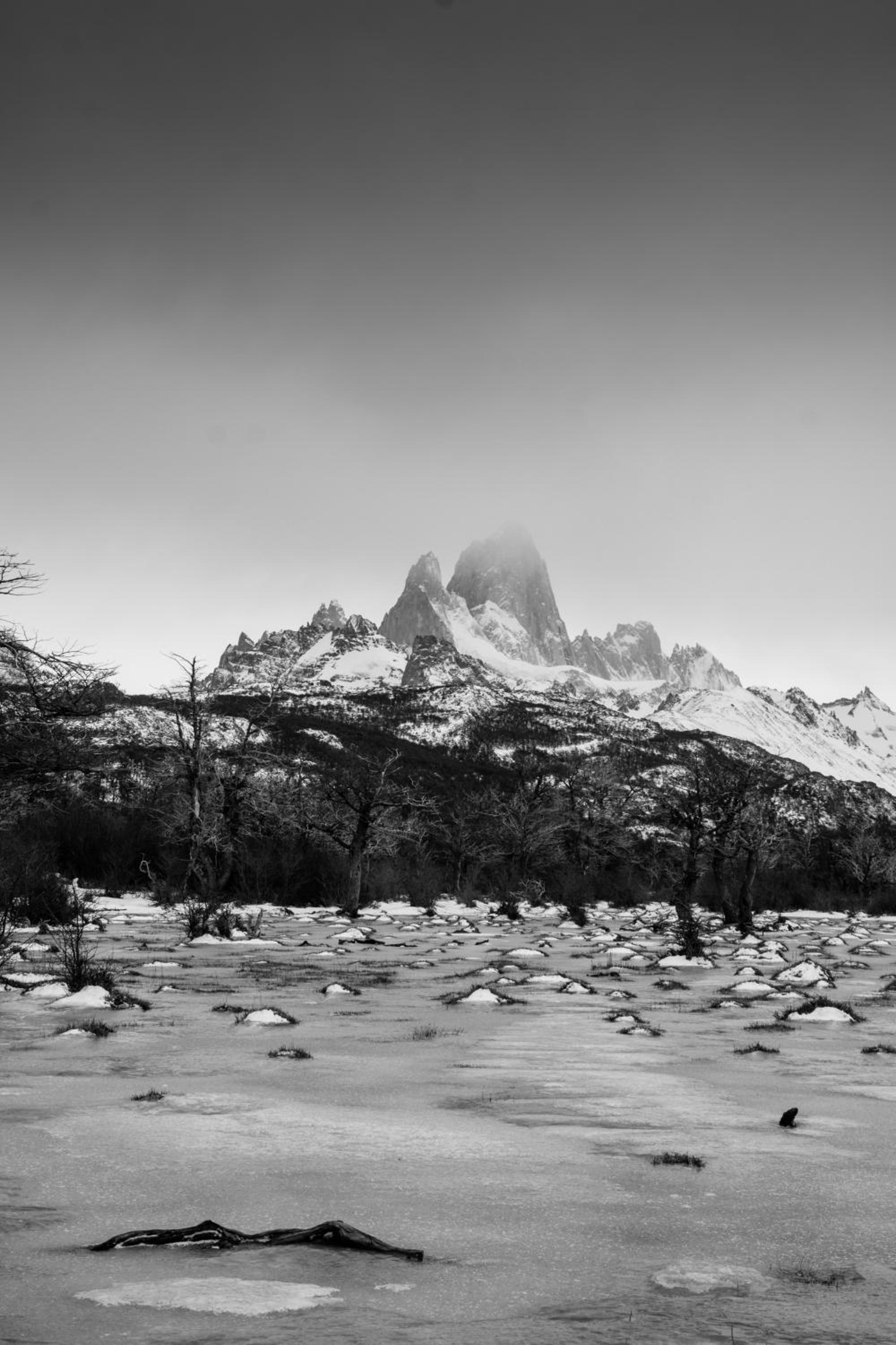Confin Patagonico