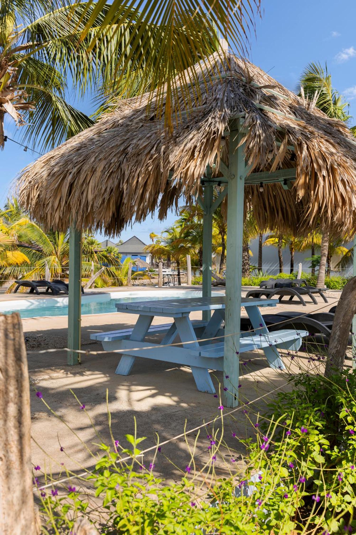 Caribbean Lofts Bonaire