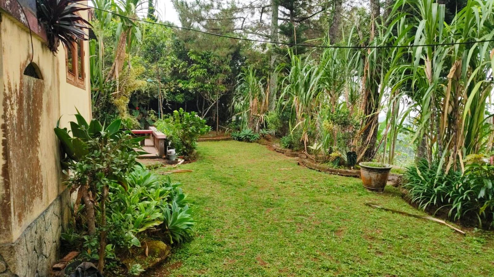 Villas Dalia Ps view 3