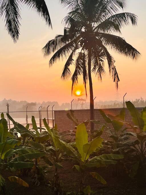 Aloha farms- By the lake view 3