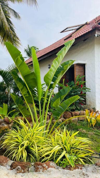 Aloha farms- By the lake view 4