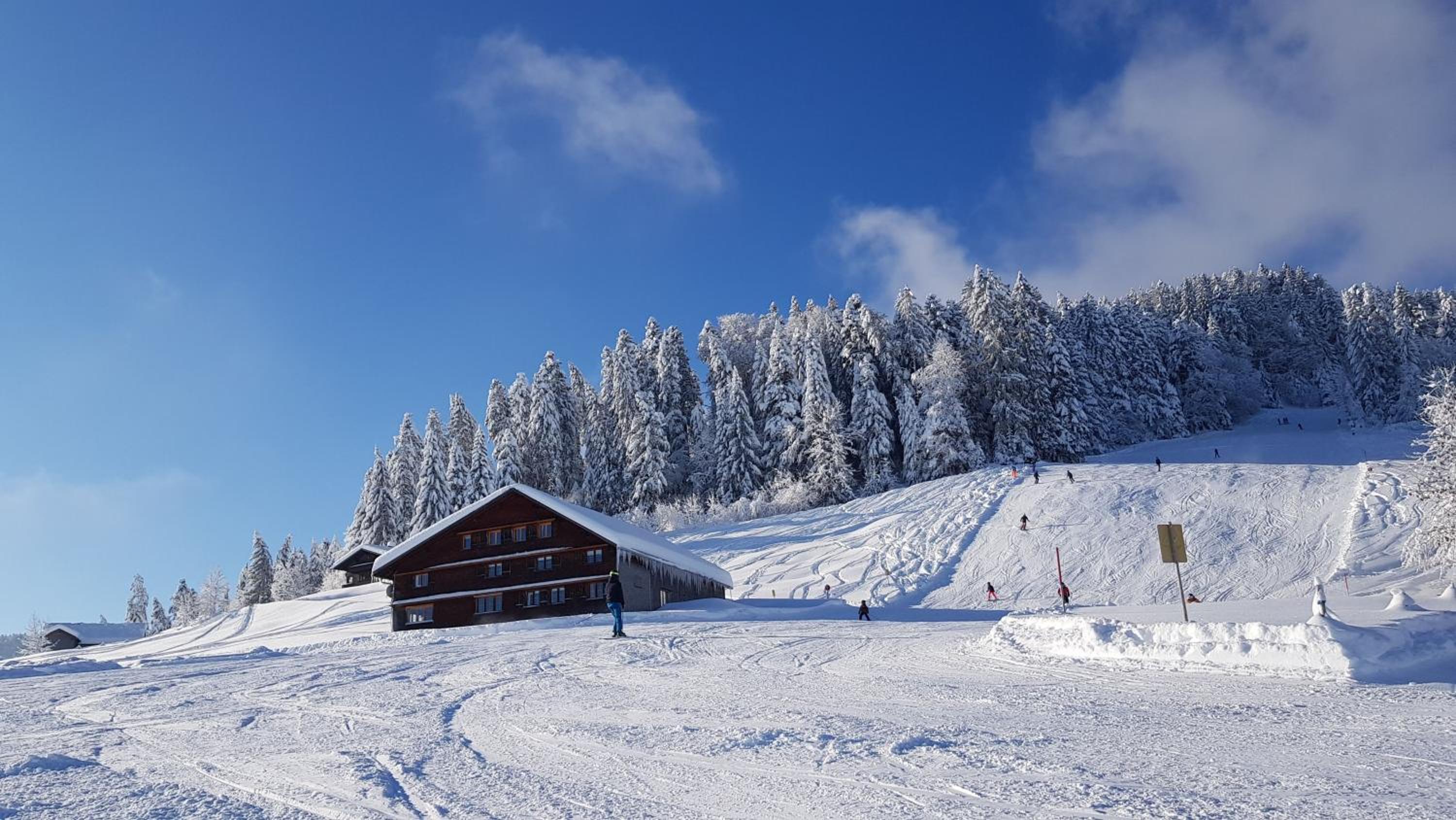 Haus Unterlose 392 direkt im Ski- und Wandergebiet Bödele