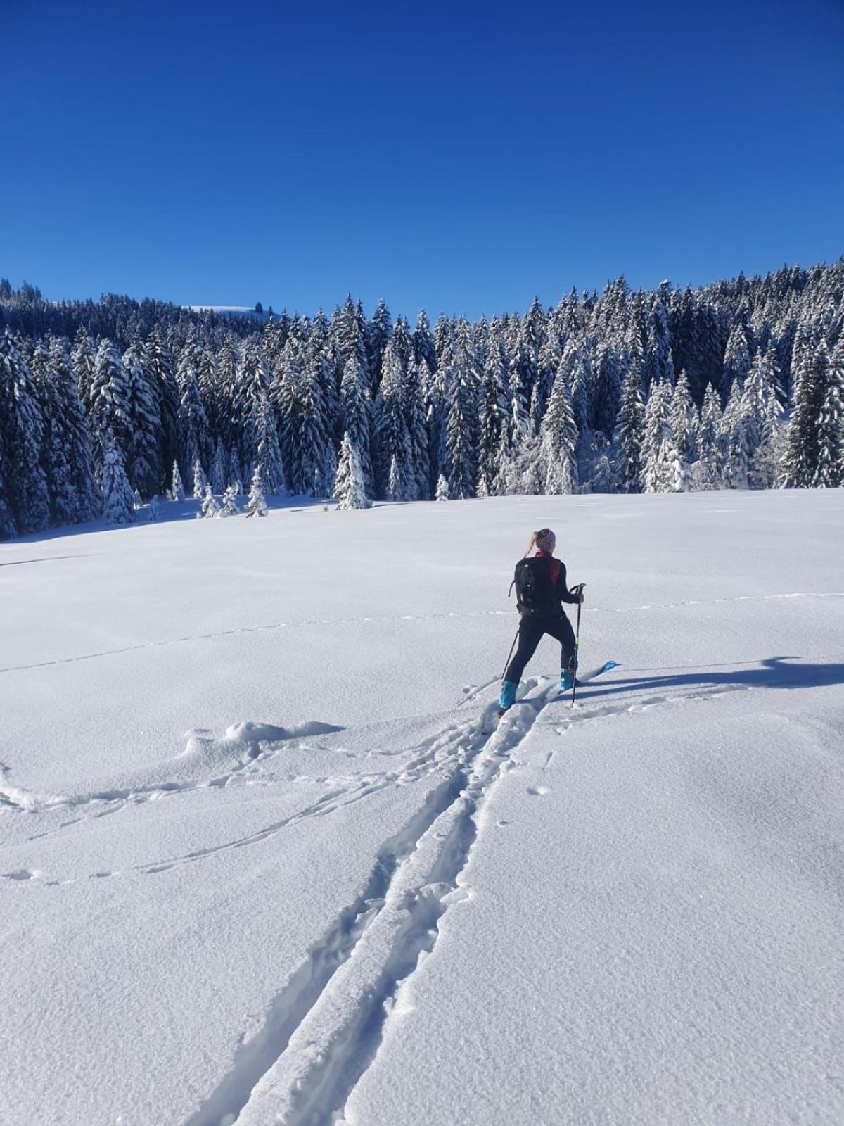 Haus Unterlose 392 direkt im Ski- und Wandergebiet Bödele