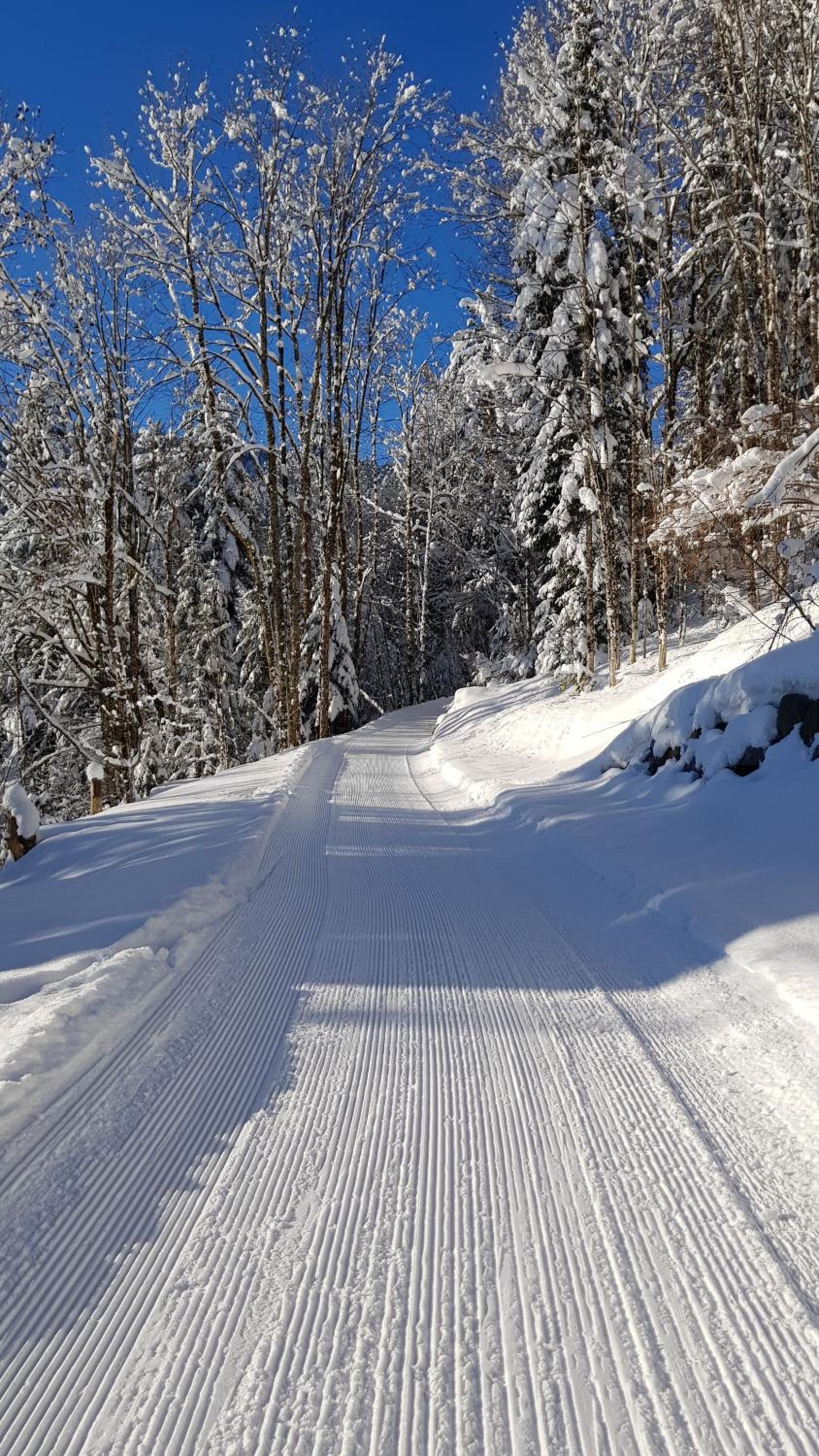Haus Unterlose 392 direkt im Ski- und Wandergebiet Bödele