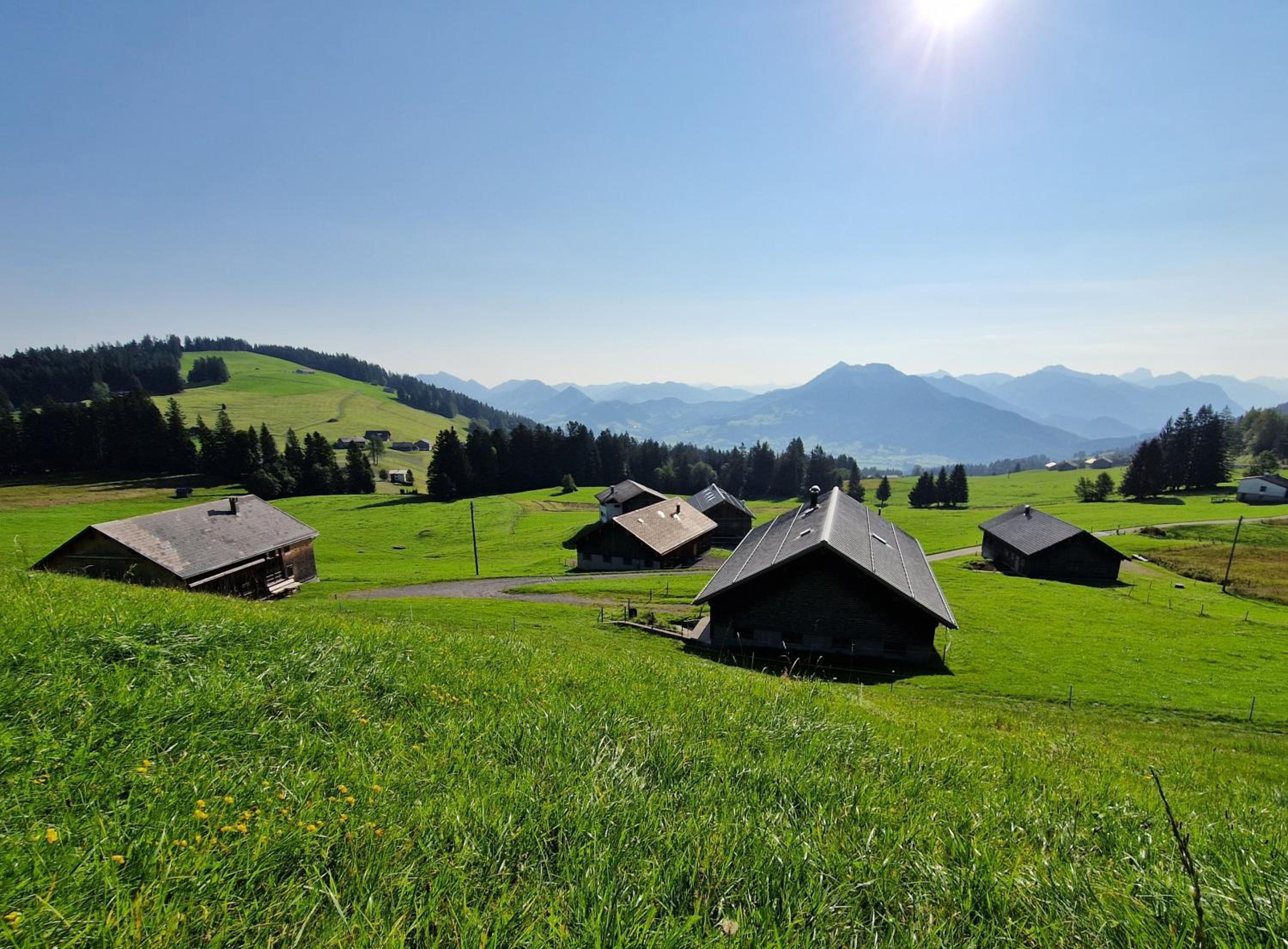 Haus Unterlose 392 direkt im Ski- und Wandergebiet Bödele
