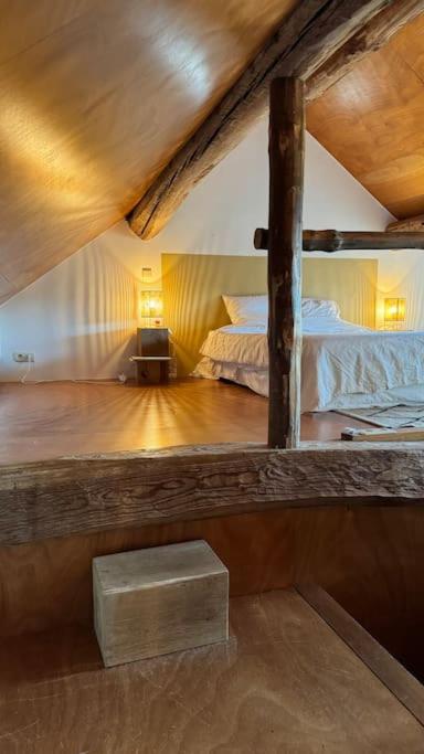 Logement 1 chambre et canapé lit