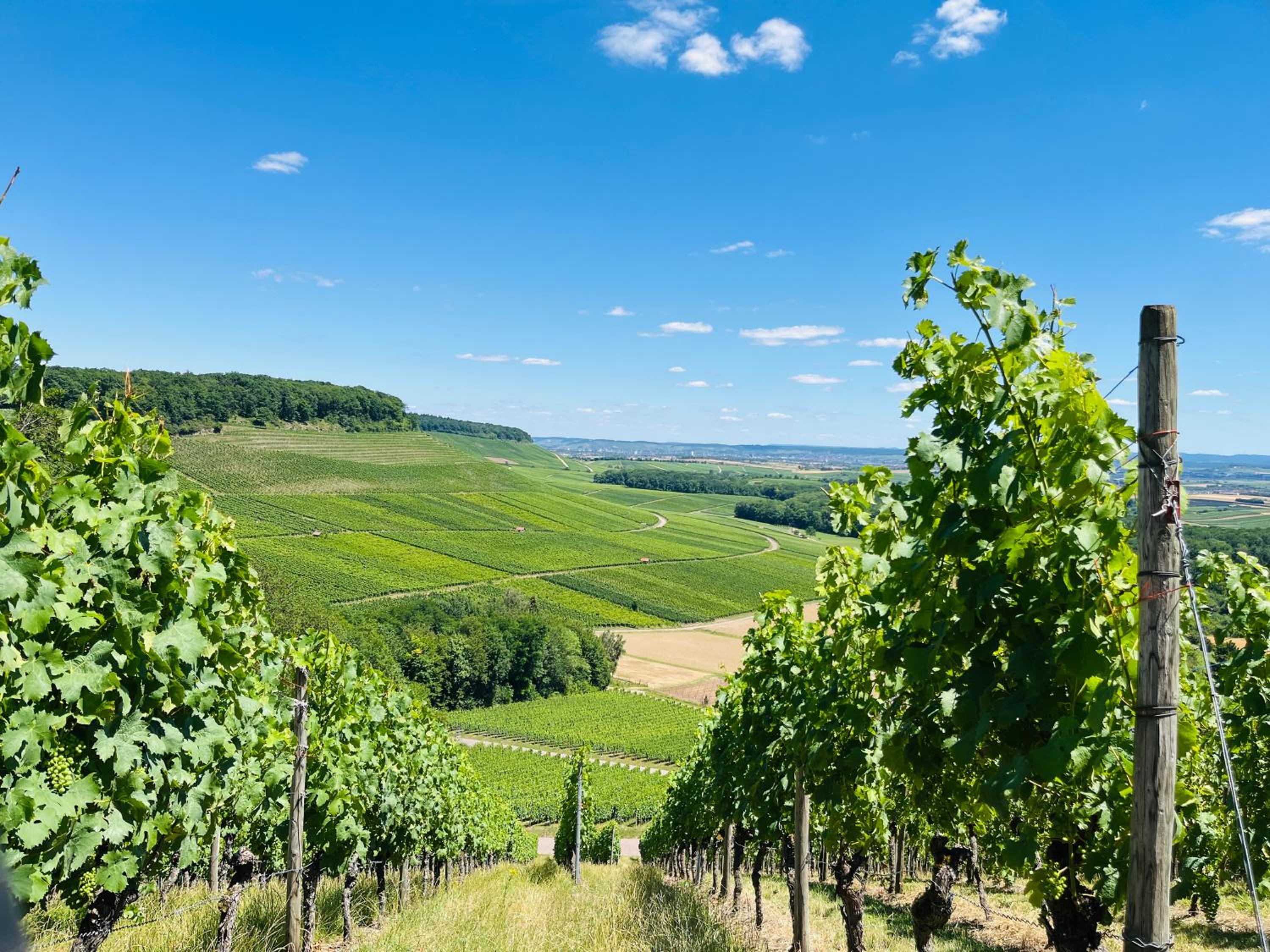 Appartments - Stromberg & Zabergäu