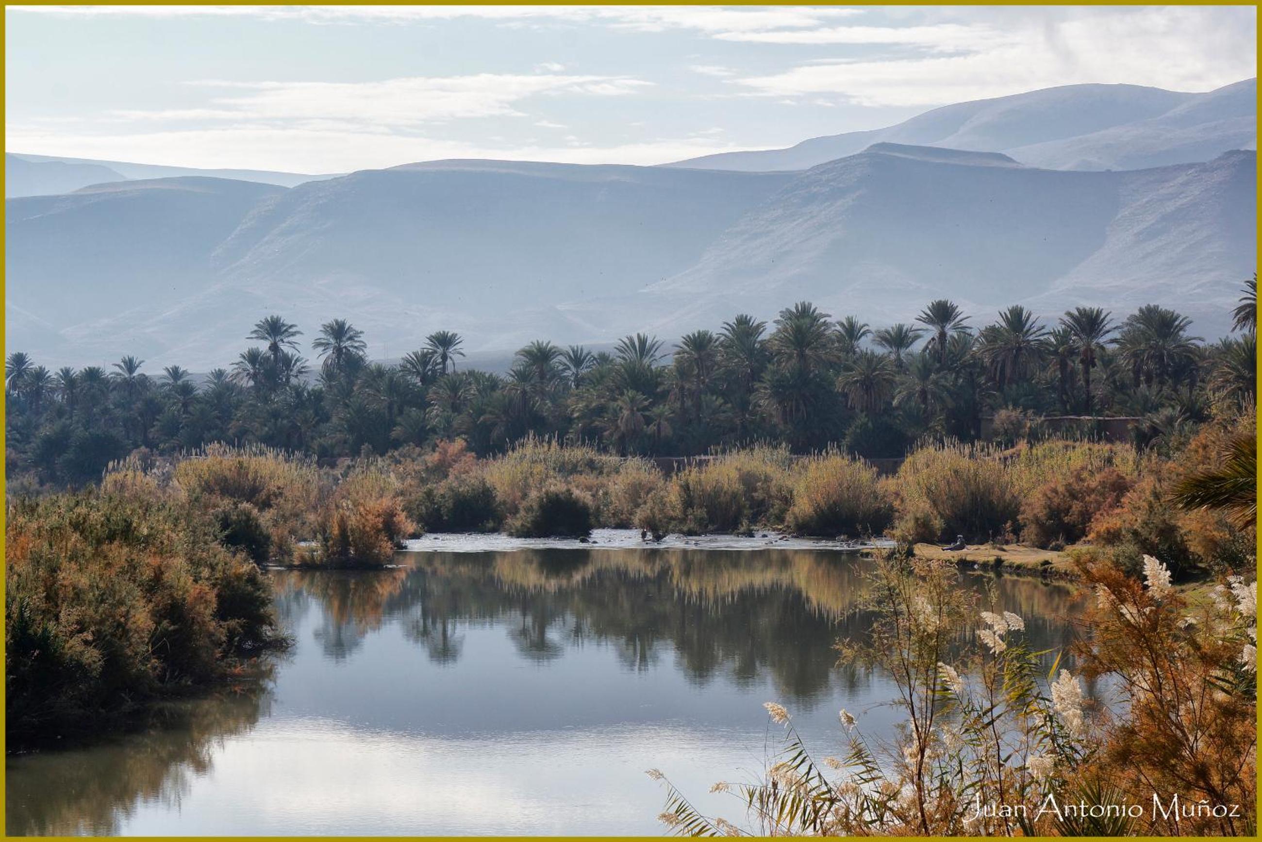Lodge Hara Oasis