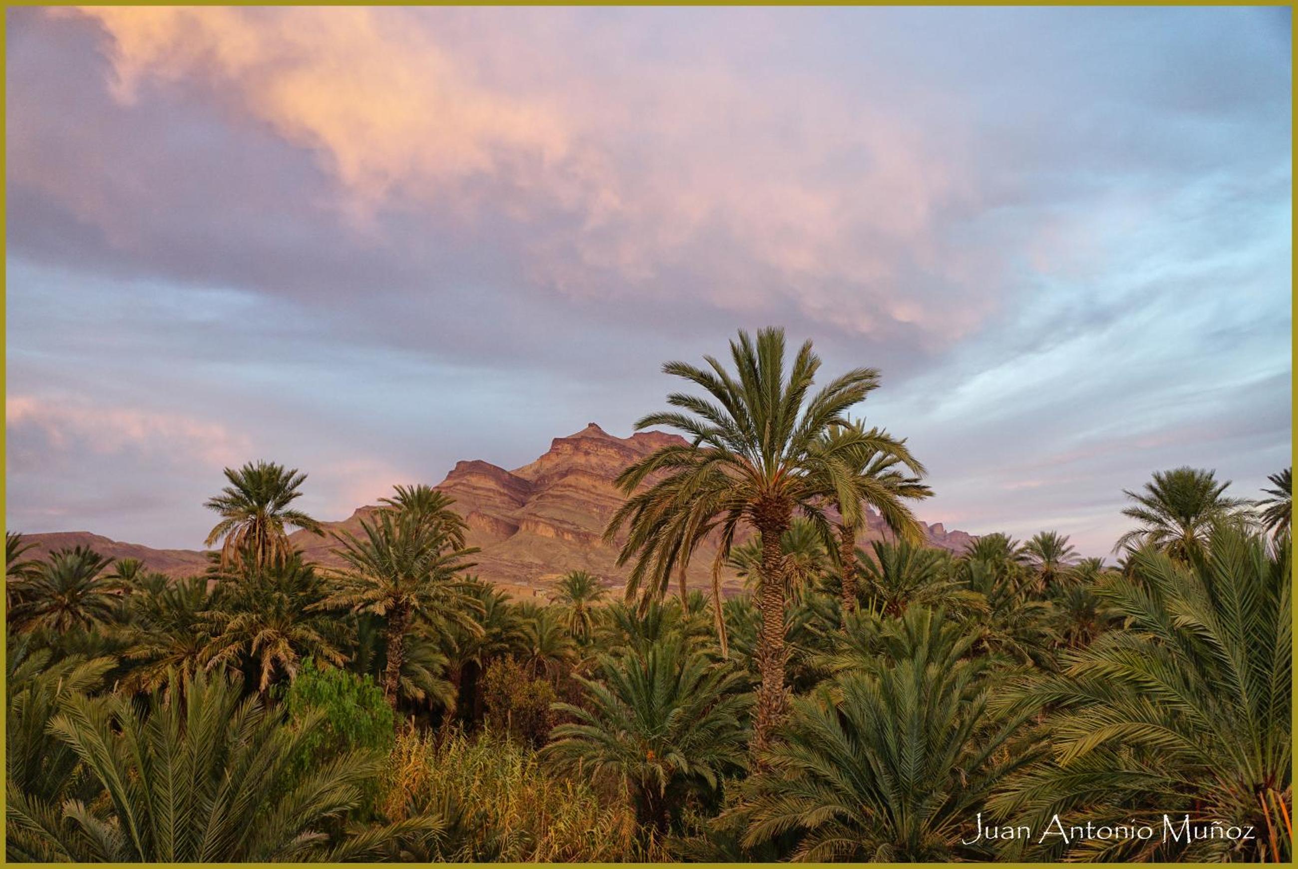 Lodge Hara Oasis