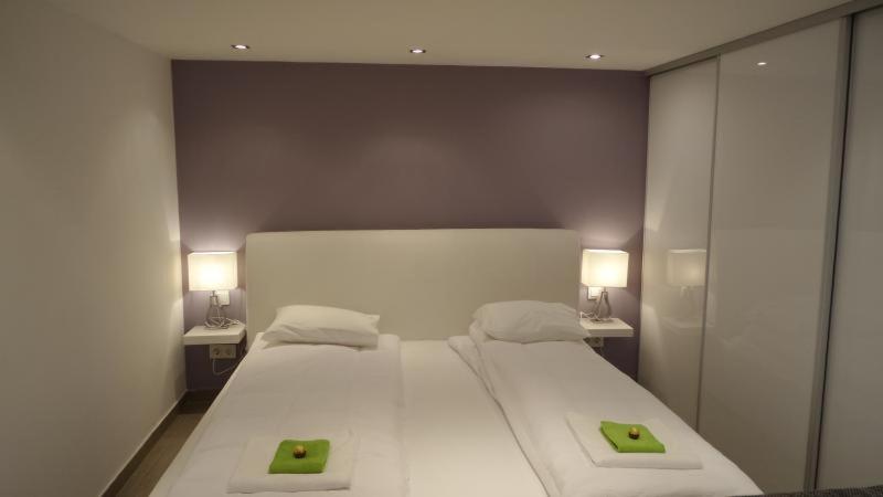 GOZSDU DREAM APT LUXURY 3 DOUBLE BED BUD CENTRe view 5