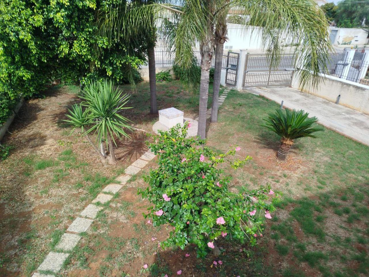 Photo 28