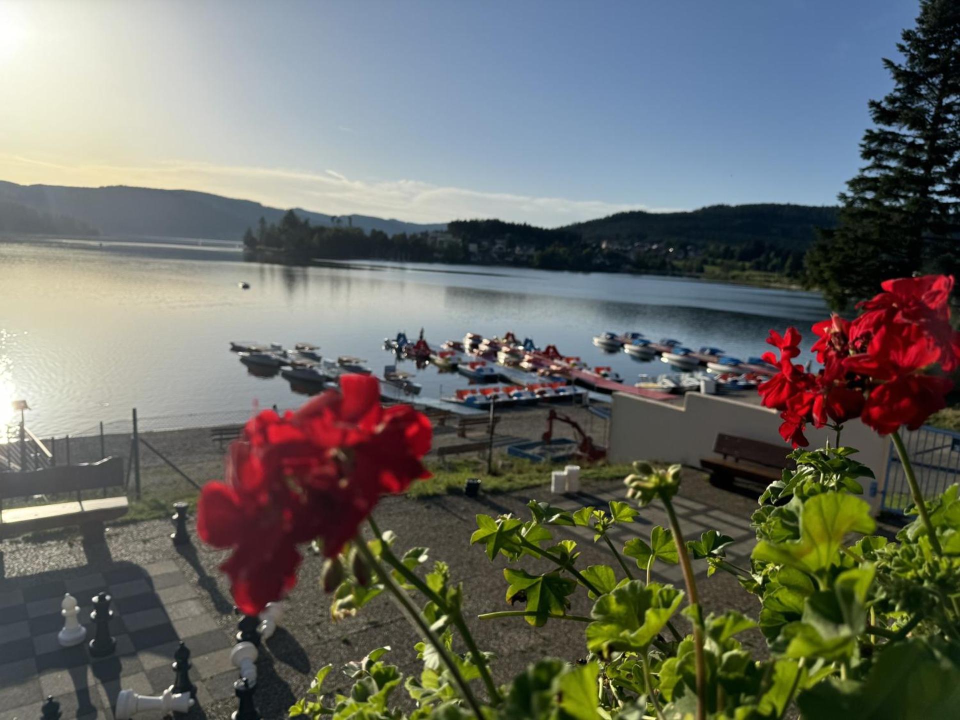 Lodge am See view 5