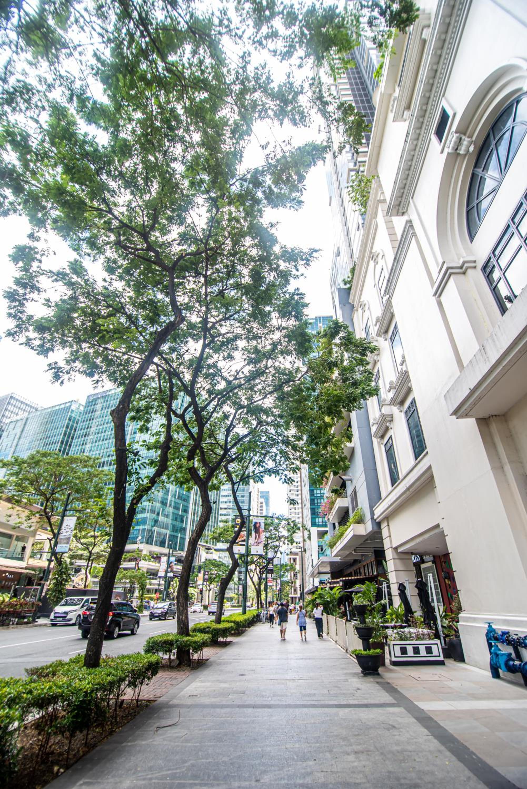 Photo 49