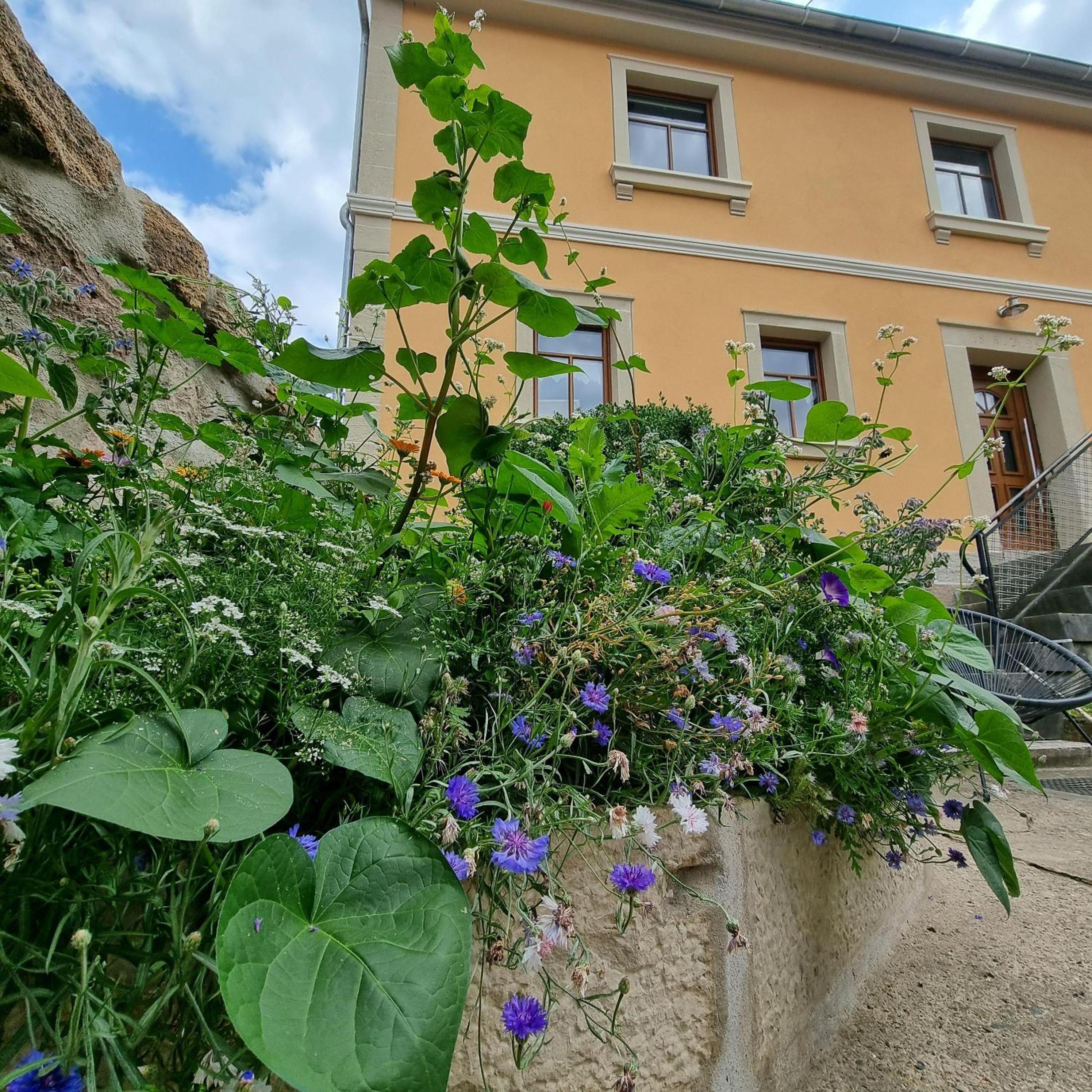 Ferienhaus Emma