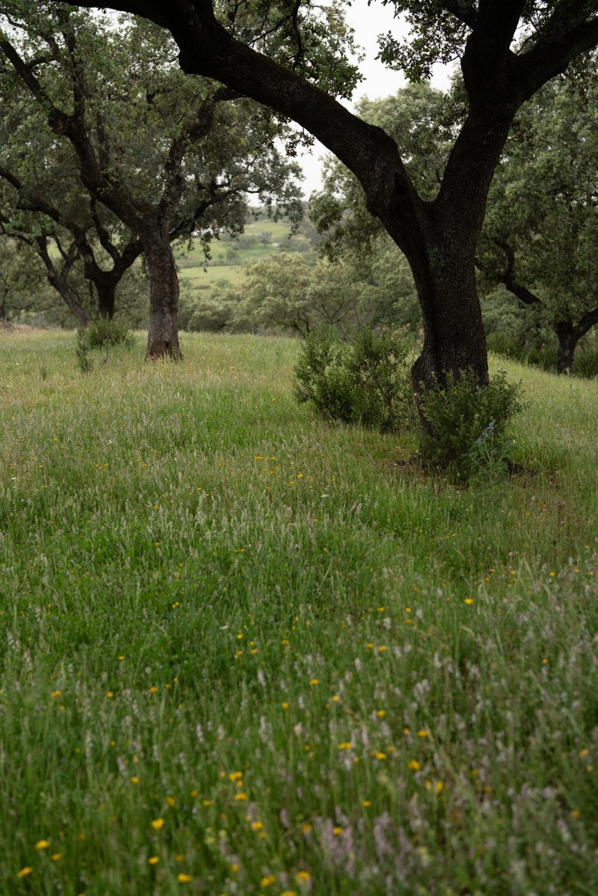 Origen Andévalo Alma y paisaje
