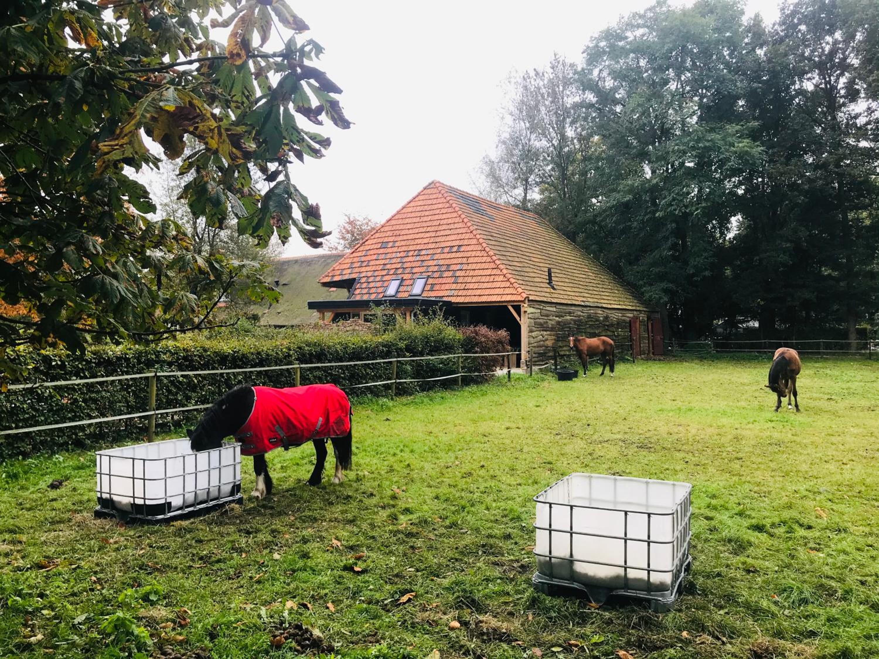 Stalhuis, overnachten in een tinyhuis bij de paarden