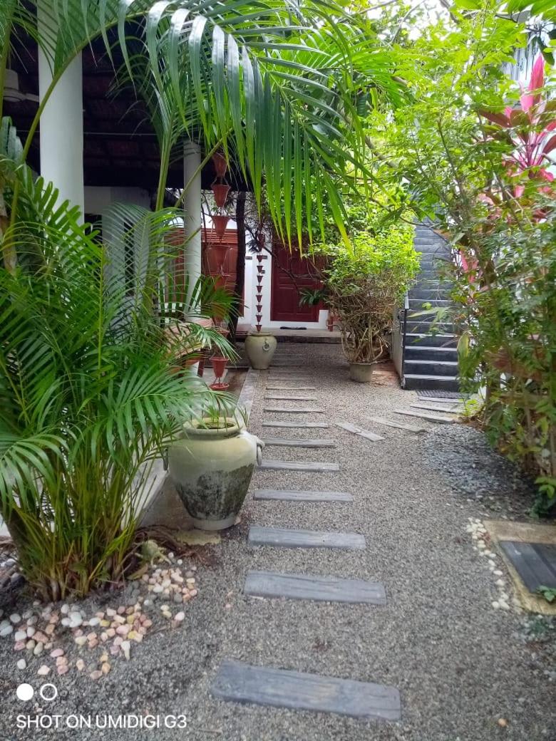 Belle Mirissa Guesthouse view 2