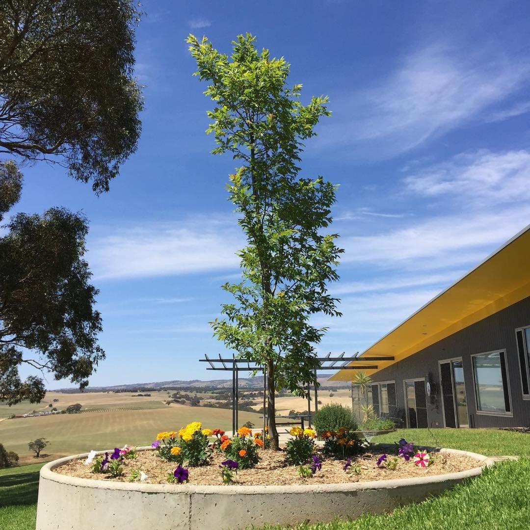 Barossa Pavilions & Glasshouse