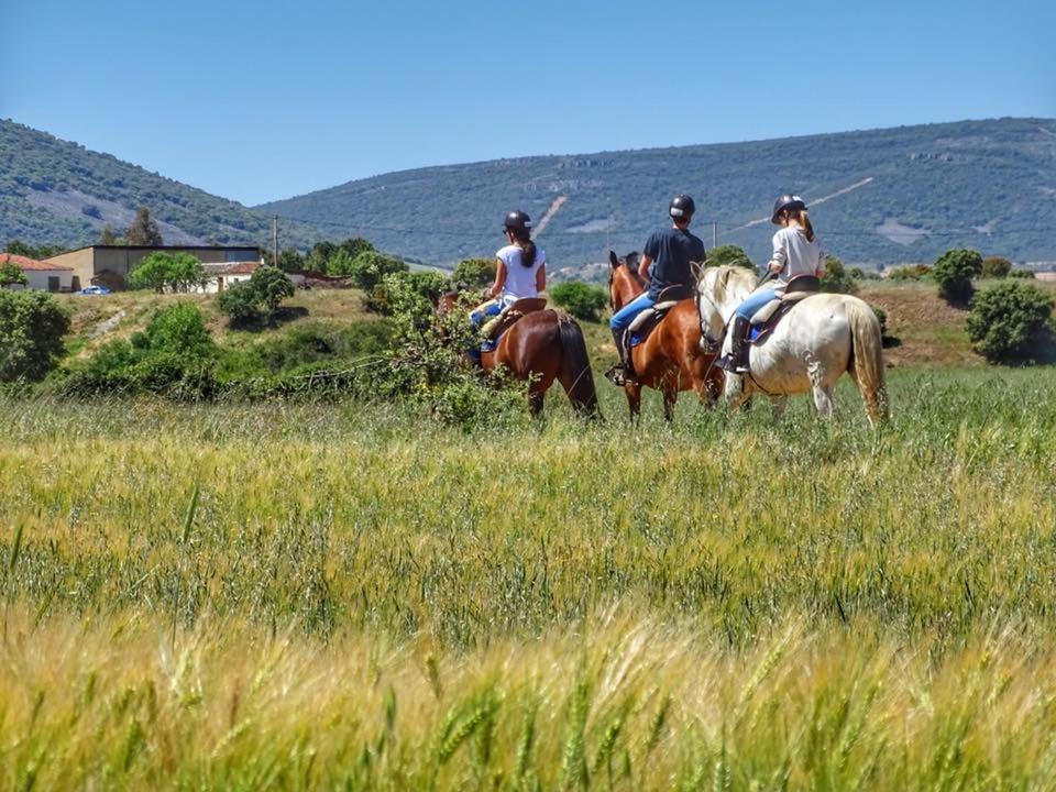Complejo Turístico Rural Fuente Taray