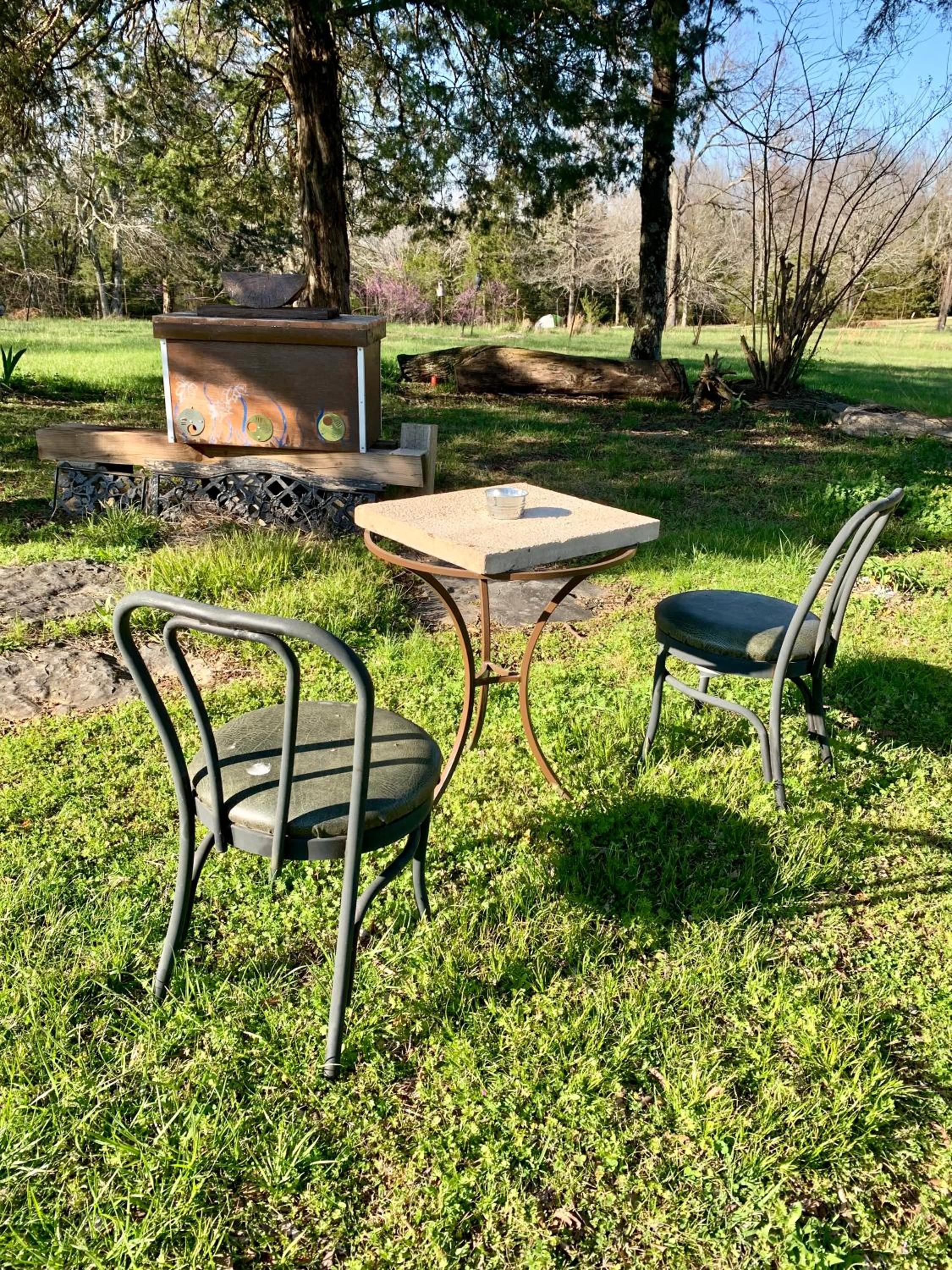 Photo 11
