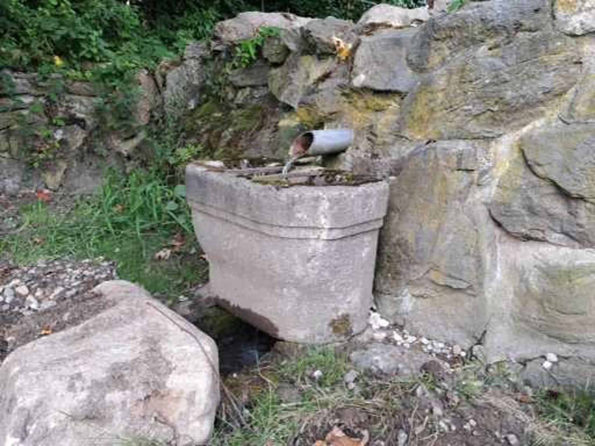 Waldhaus Flammersberger