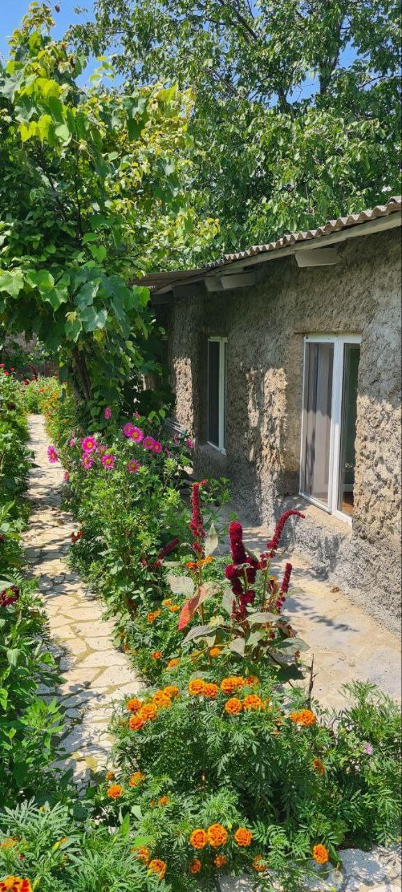 Budur Guesthouse