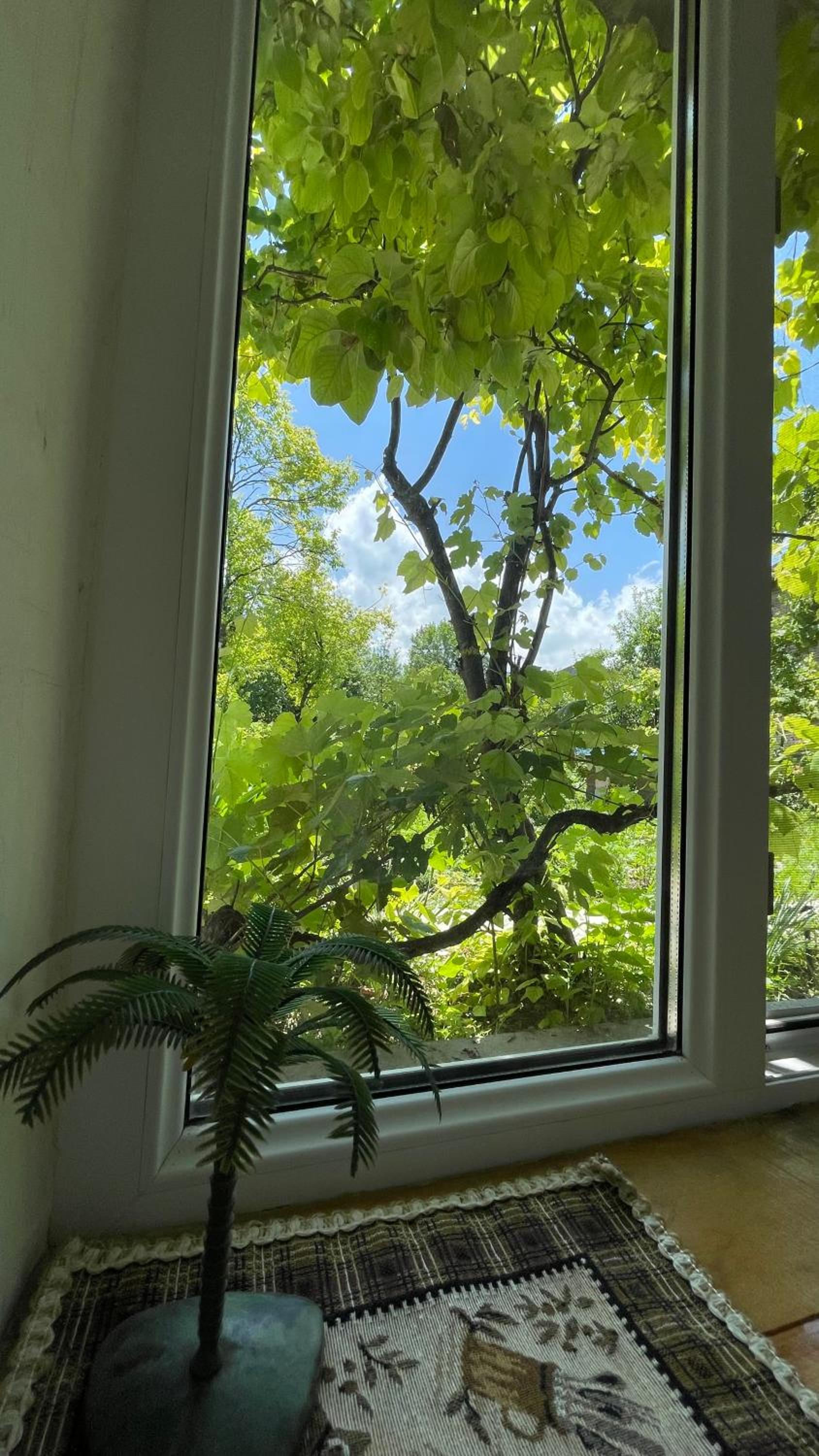 Budur Guesthouse