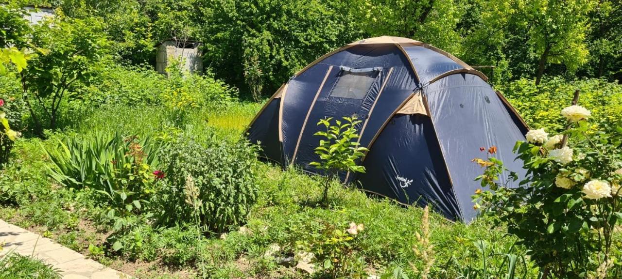 Budur Guesthouse