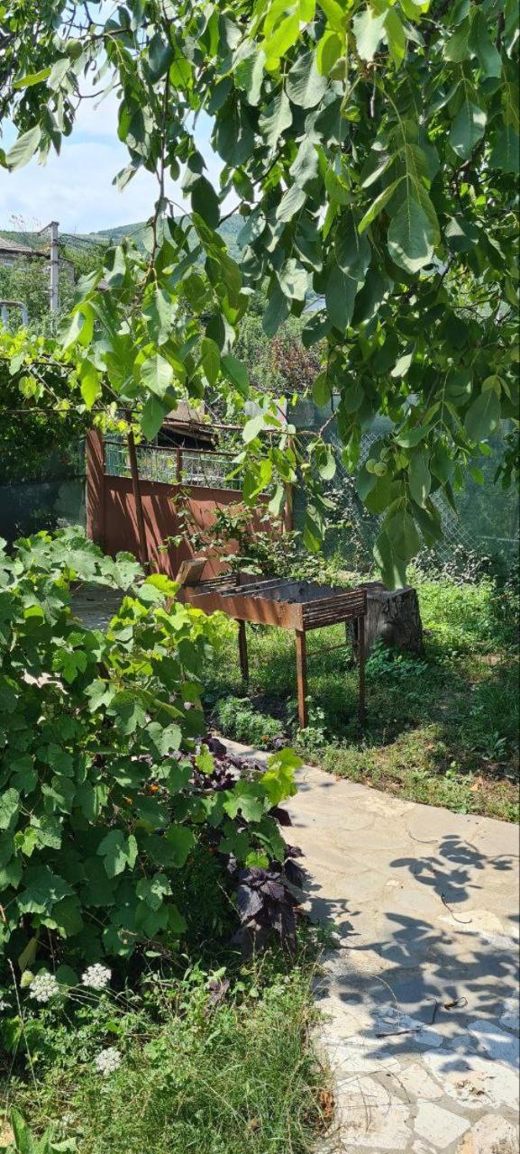 Budur Guesthouse
