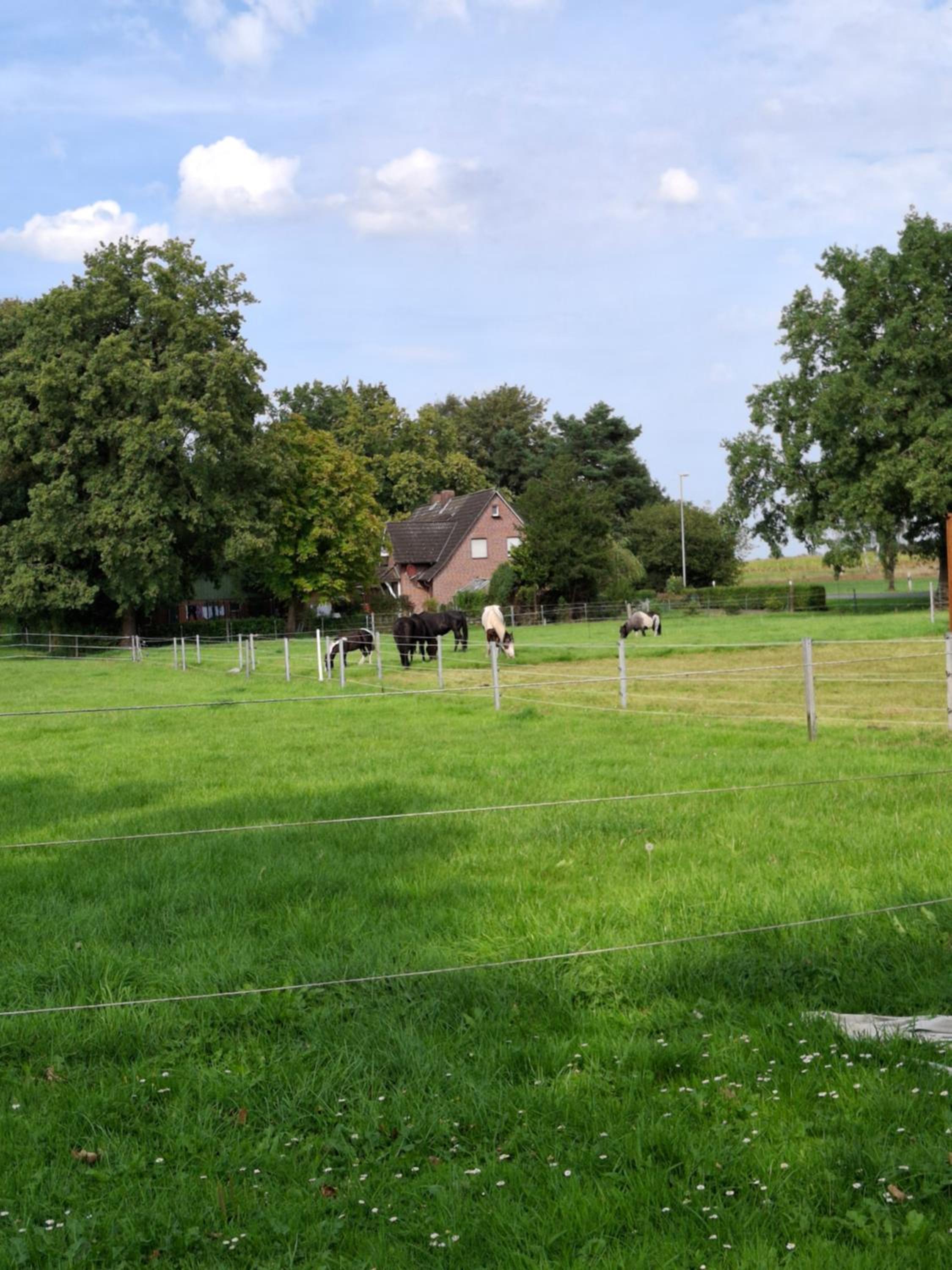 Ferienwohnung Hof Postel