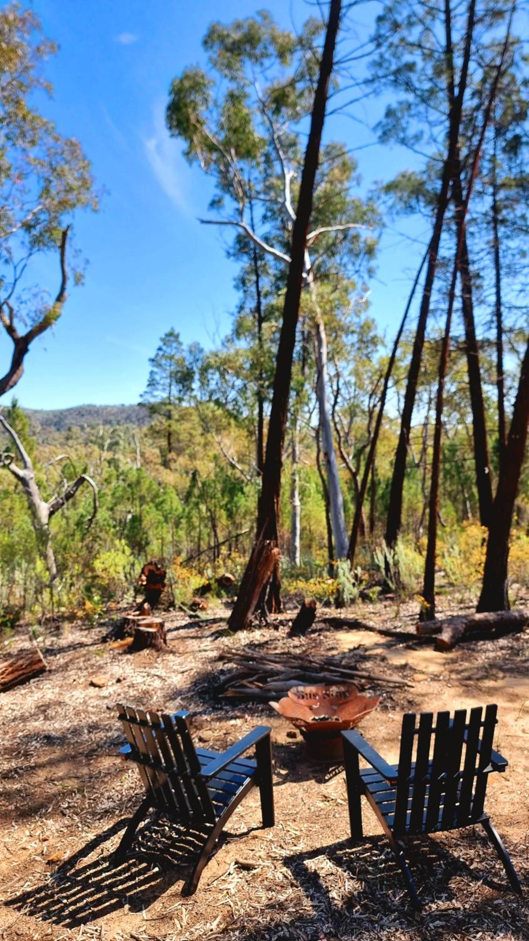 Echidna Ridge by Tiny Away