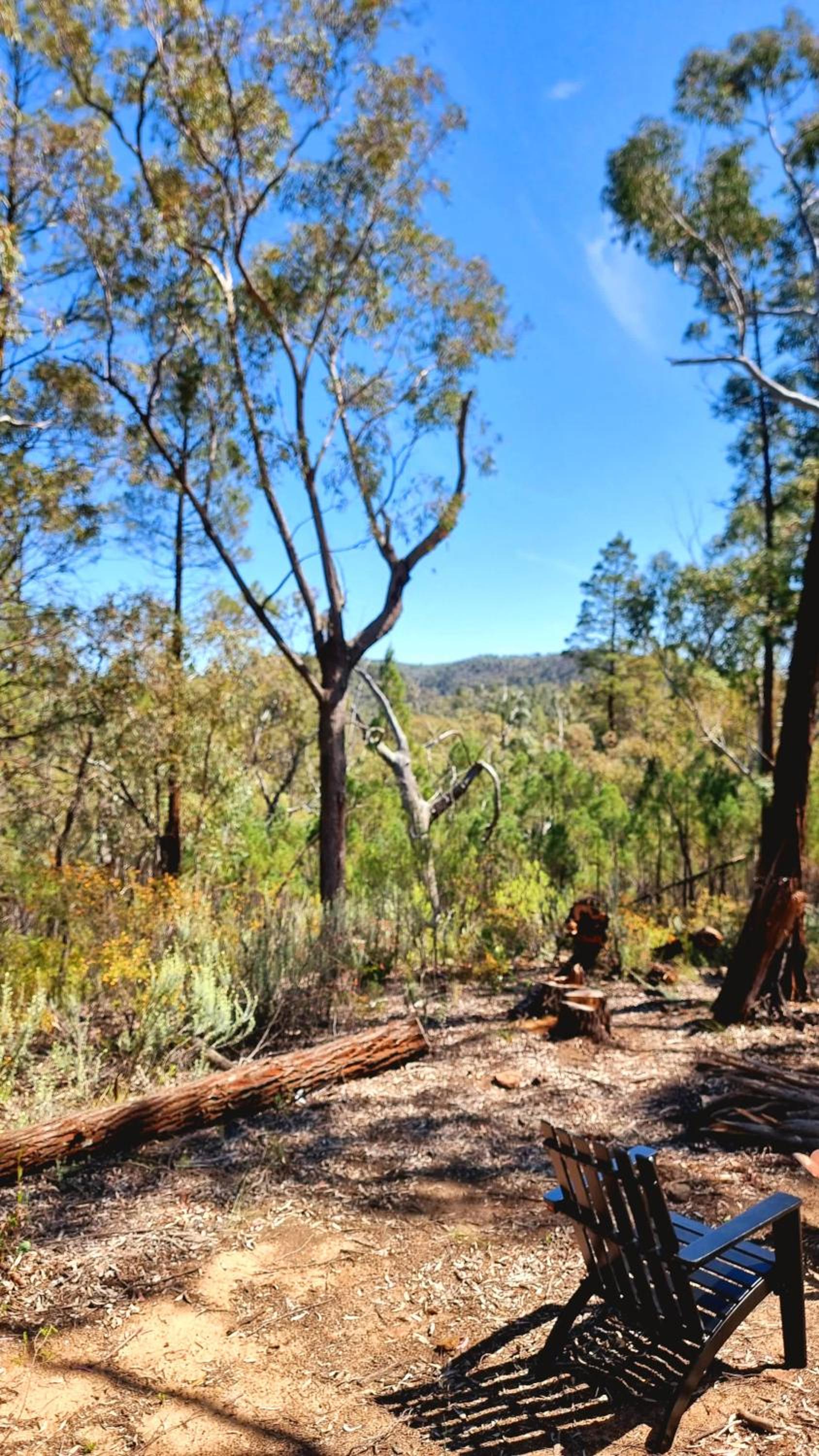 Echidna Ridge by Tiny Away
