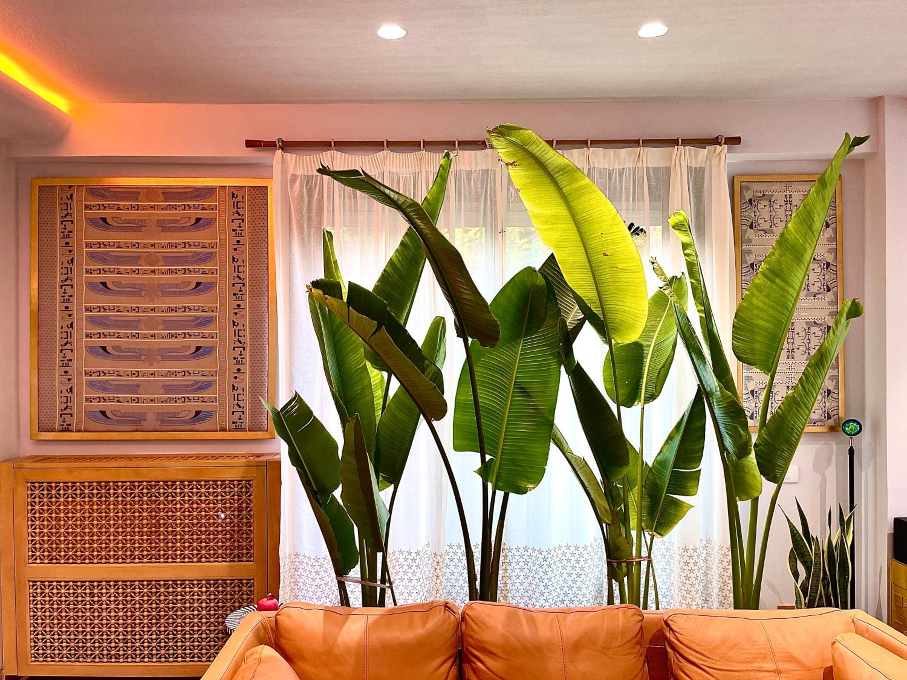 AARU Maadi Luxe Retreat