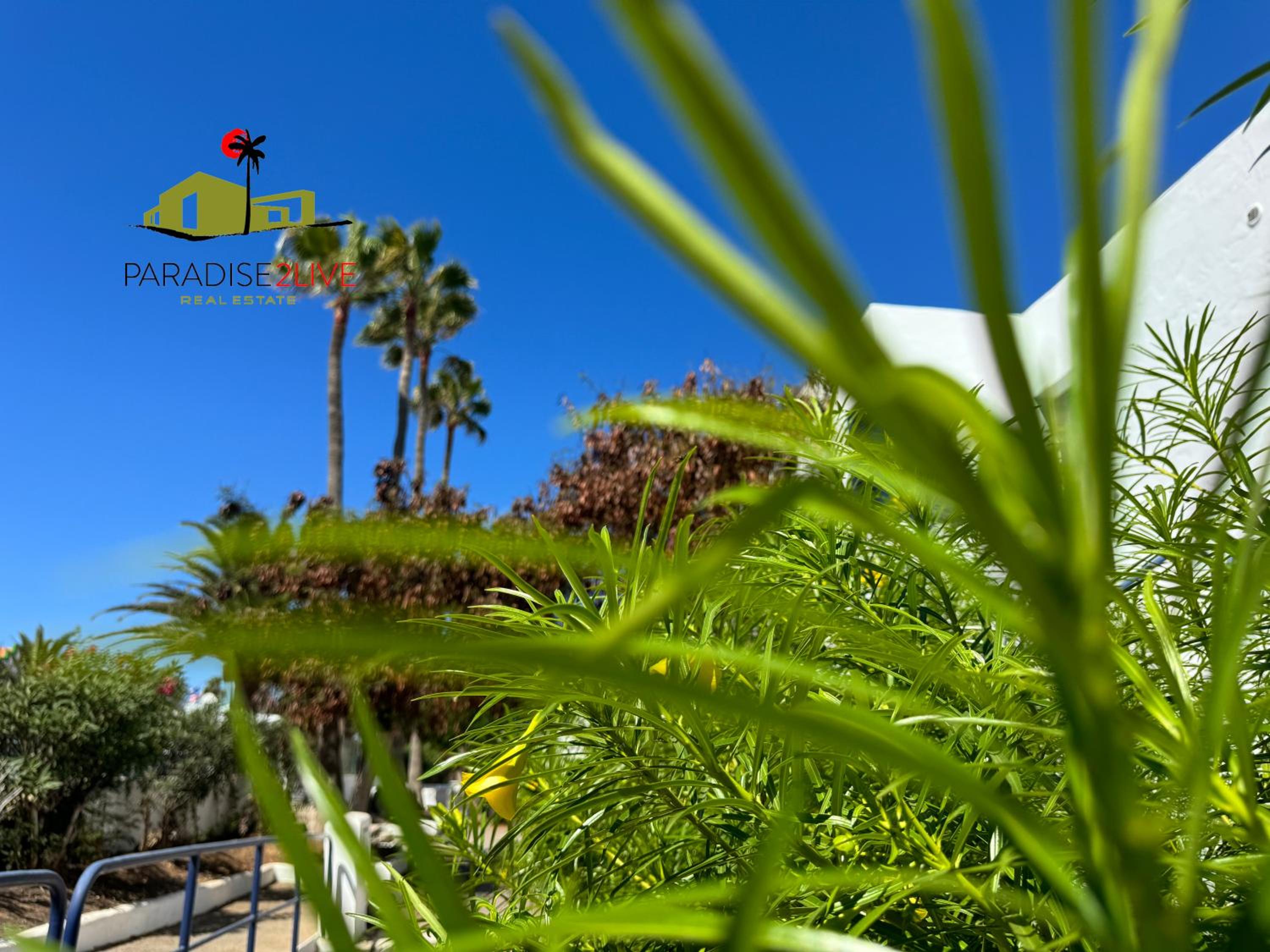 Urban Beach Corralejo