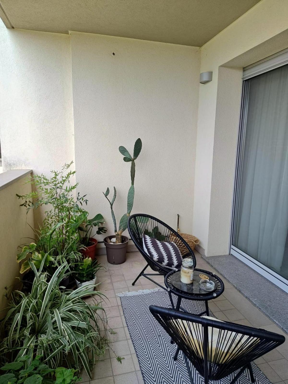 Sunset Penthouse photo 4