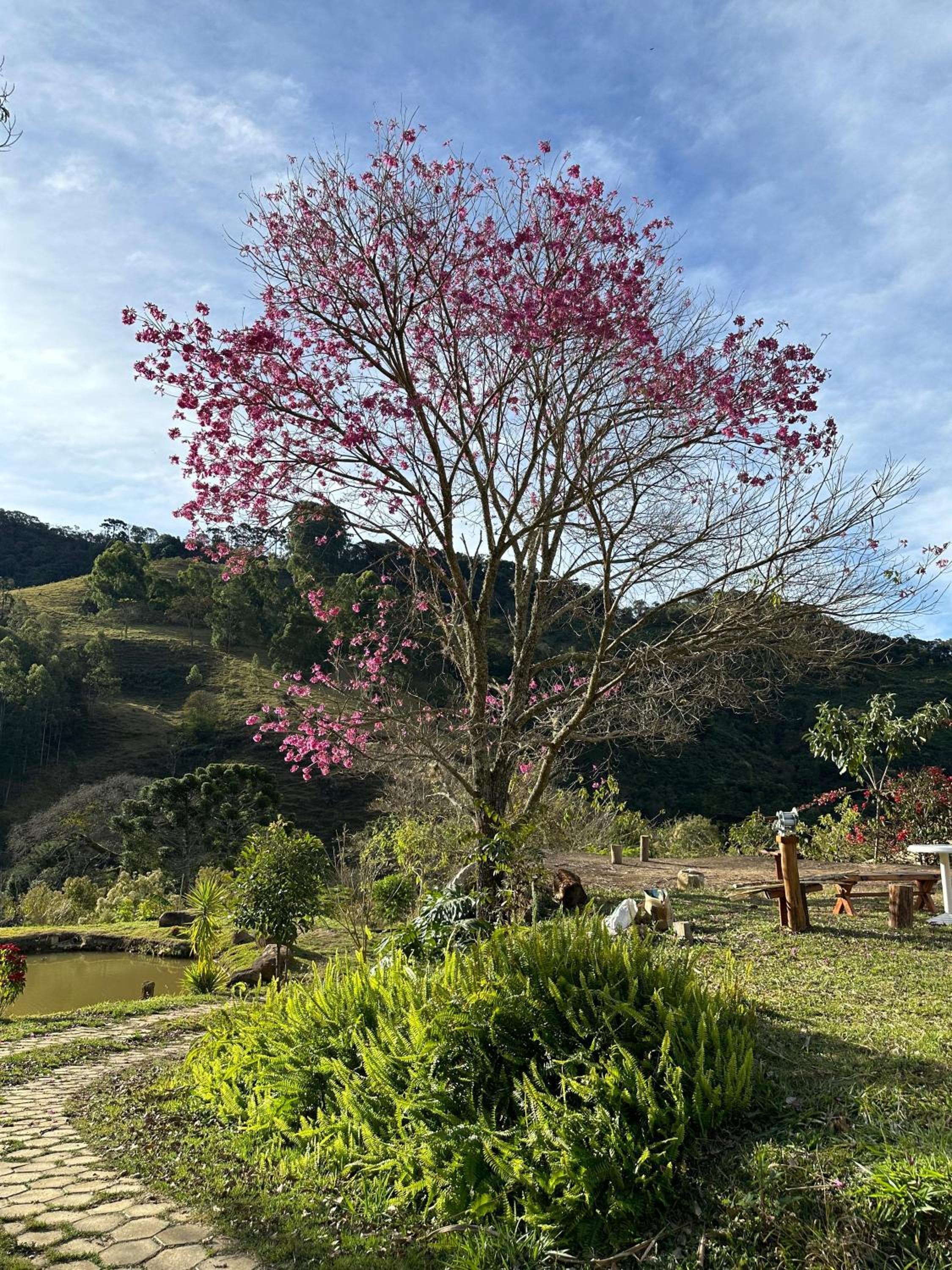 Chalé Jequitiba, hidro, lareira, natureza, Sul de Minas, Café da manhã