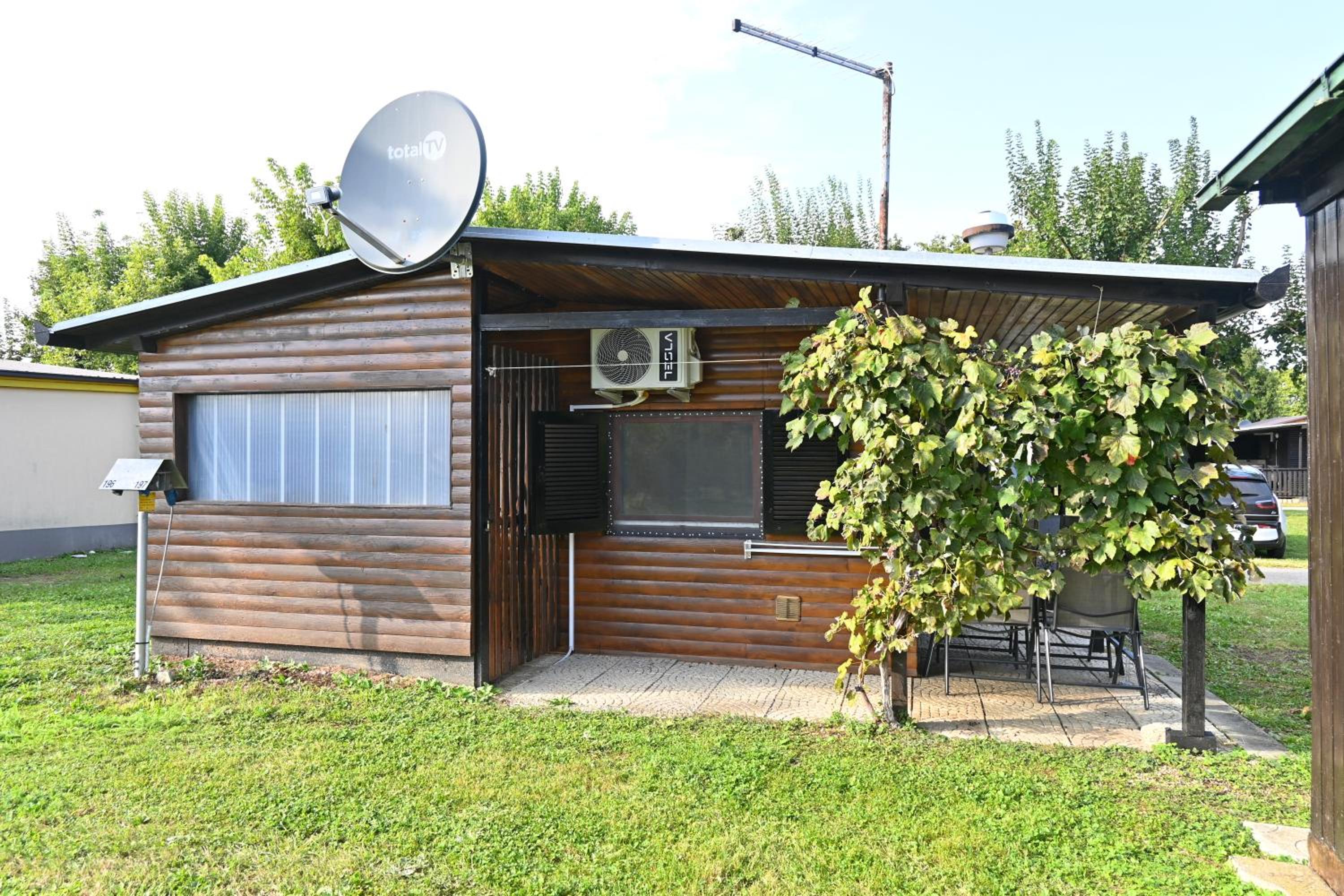 Photo 11