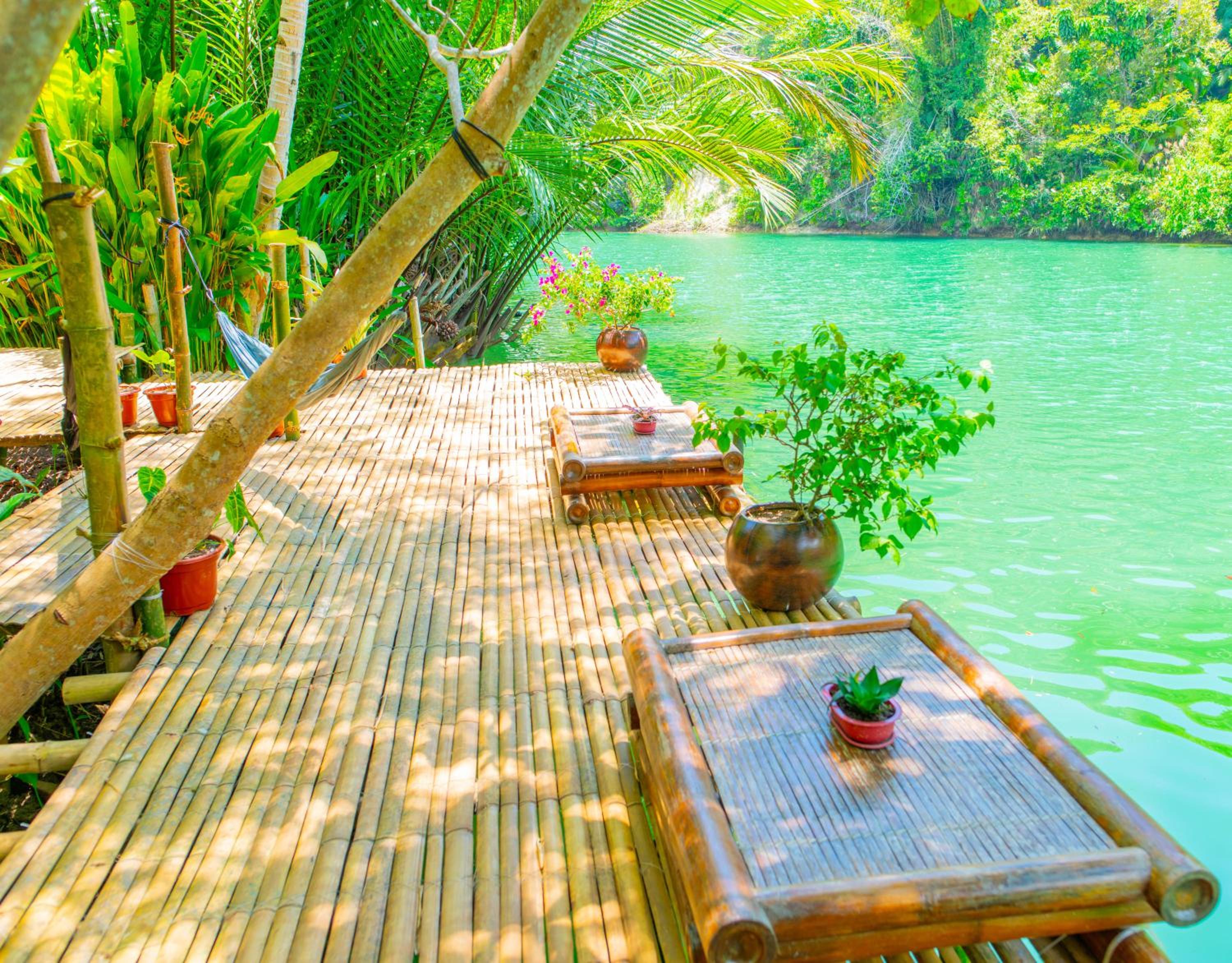 Water to Forest Ecolodge view 5