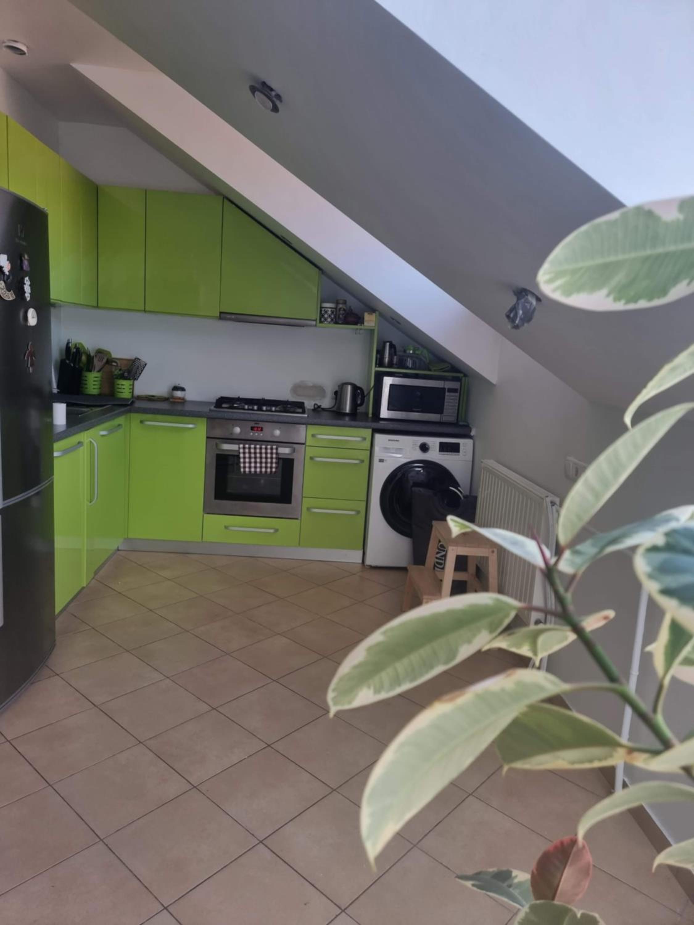 Rasos apartamentai senamiestyje