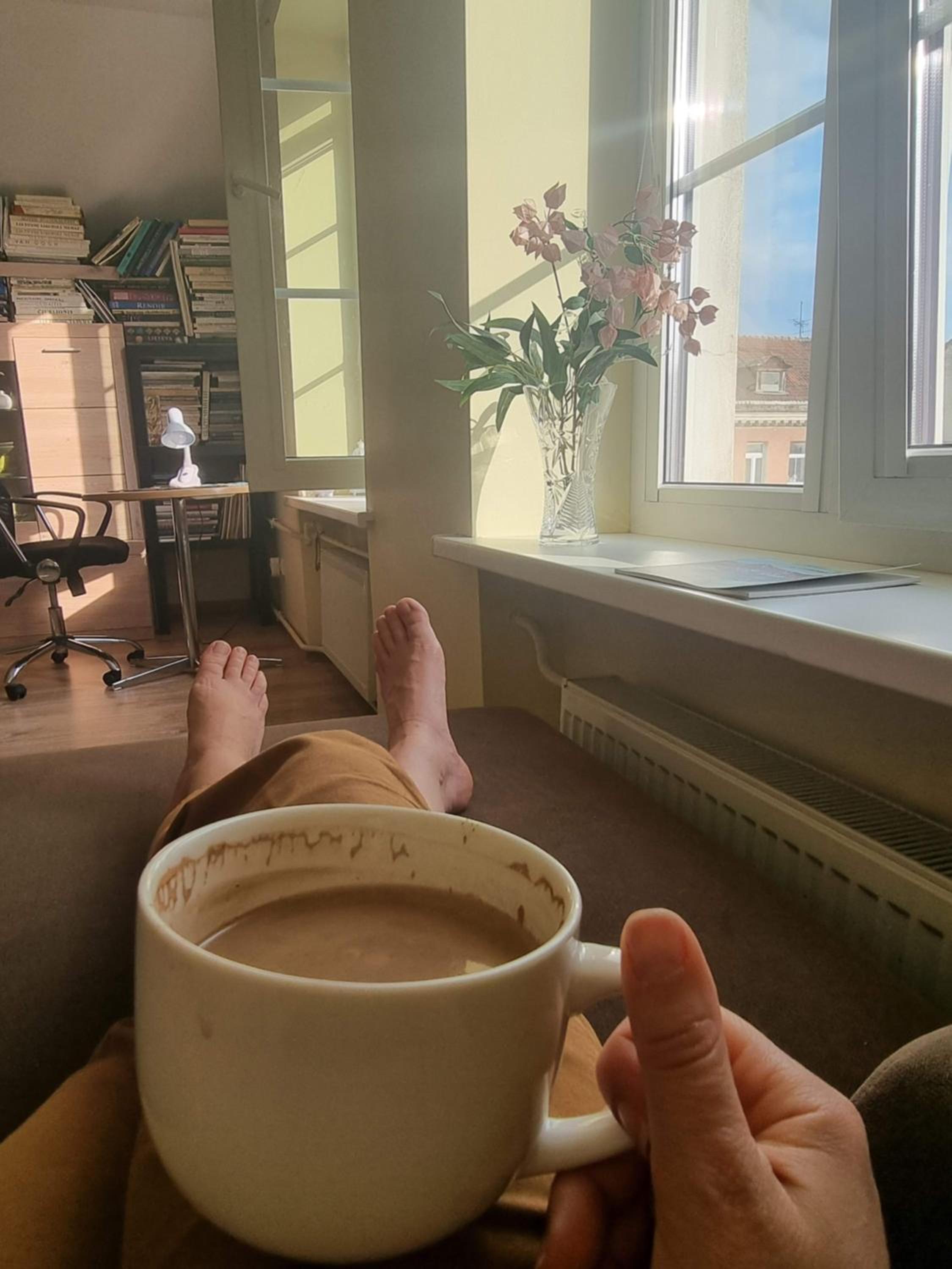 Rasos apartamentai senamiestyje