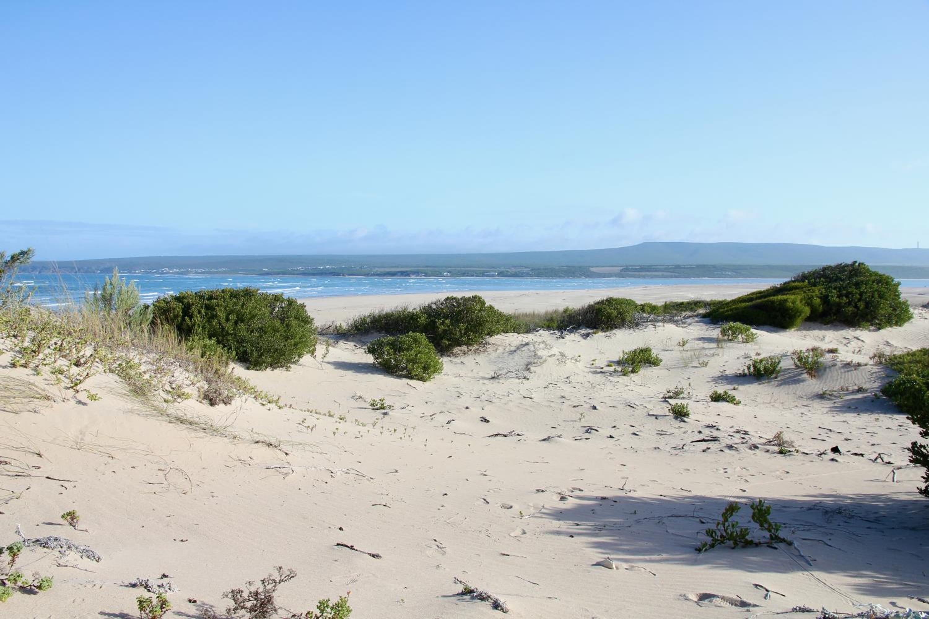 Little Paradise