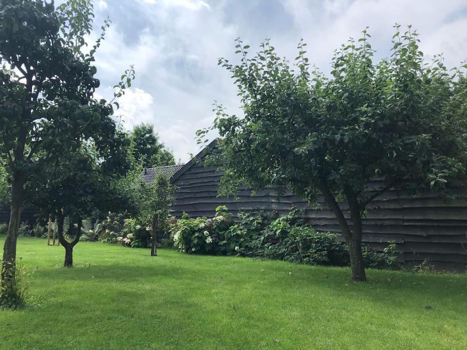 SereenRetreat voor focus en rust view 4