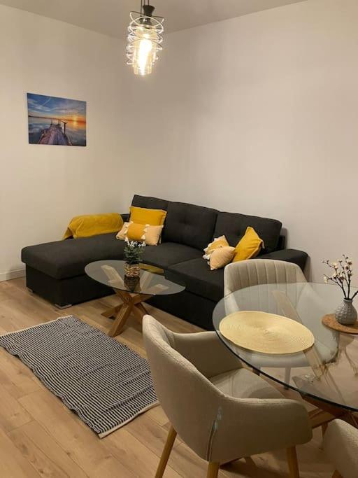 Apartament Aleksandar Premium