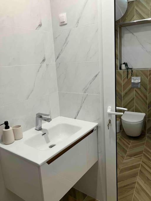 Apartament Aleksandar Premium