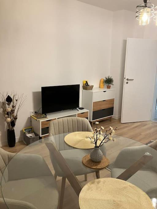 Apartament Aleksandar Premium