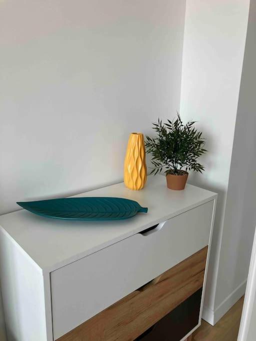 Apartament Aleksandar Premium