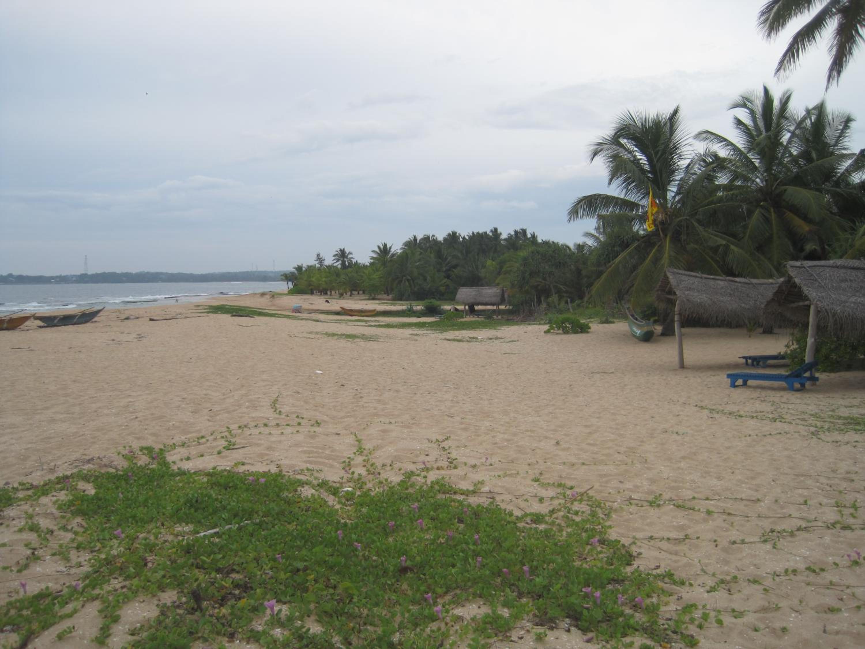 Photo 41