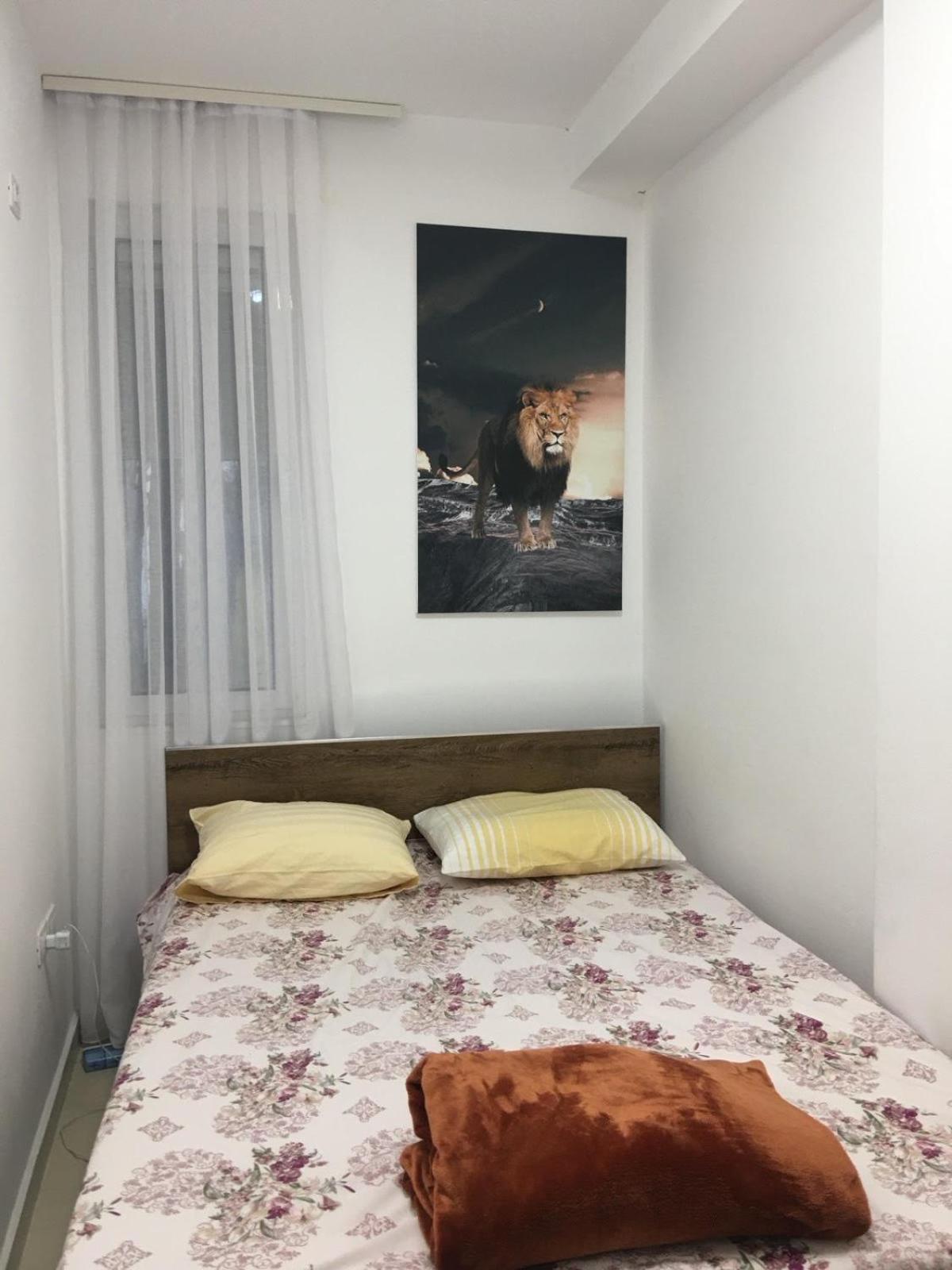 Apartment Biki photo 5