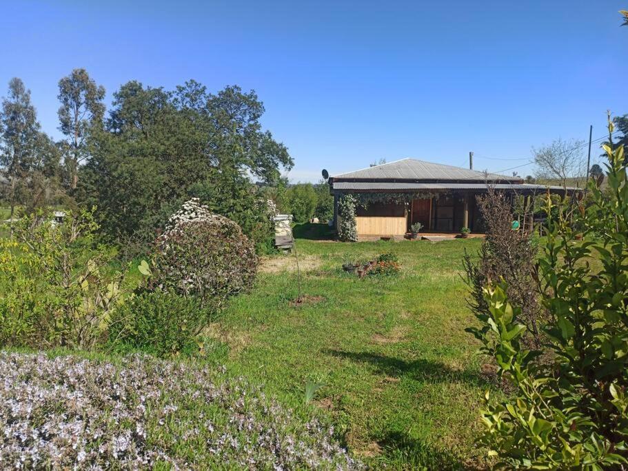 Casa ecológica de barro